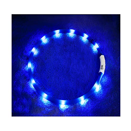 LED Hundehalsband, USB wiederaufladbar Nacht-Sicherheit Hunde Halsband Längenverstellbareres Hunde Halsband mit DREI Beleuchtungsmodi für Hunde, Blau von KABB