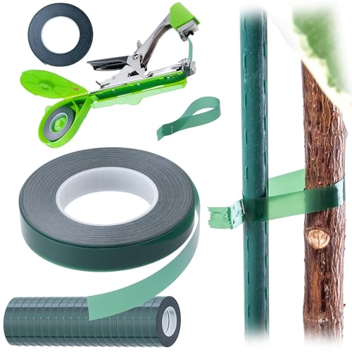 KADAX Bindeband für Bindezange, 20 Rollen im Set, je 11 mm x 25 m, Band für Pflanzenbindemaschine, Pflanzenband aus Kunststoff, Bandrollen für Bindegerät (Grün) von KADAX