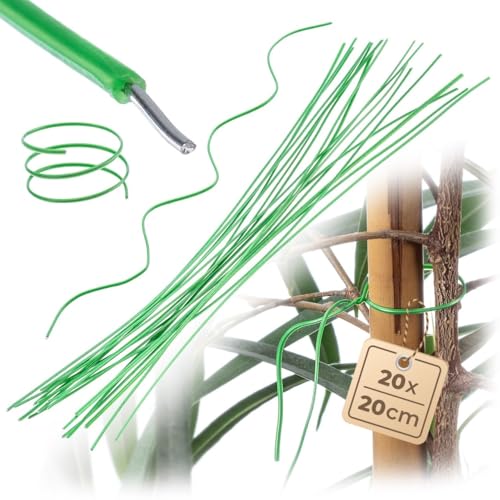 KADAX Pflanzenbinder 20cm, 20er Set, grüner Bindedraht zur Befestigung von Tomaten, Rosen & Kletterpflanzen, Gartendraht, Pflanzendraht für Garten KADAX Pflanzenbinder 20cm, 20er Set, grüner Bindedraht zur Befestigung von Tomaten, Rosen & Kletterpflanzen, Gartendraht, Pflanzendraht für Garten von KADAX
