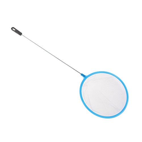 KAHDGSS Aquariumfischereinetz Feinnetz Skimmer Filter Schnelles Netto Safe Für Kleine Fische & Garnelen 3 4 4 5 Zoll Betta Aquarium KAHDGSS Aquariumfischereinetz Feinnetz Skimmer Filter Schnelles Netto Safe Für Kleine Fische & Garnelen 3 4 4 5 Zoll Betta Aquarium von KAHDGSS