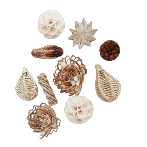 Sichere Vögel Kautables Freund Spielzeugvögel Kognitive Holzstimulation Für Conures Und Kleine Vögel Sichere Vögel Kautables Freund Spielzeugvögel Kognitive Holzstimulation Für Conures Und Kleine Vögel von KAHDGSS