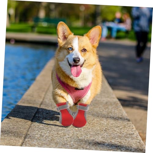 KAILIKETIY 4 Stück Teiliges Atmungsaktive Hundeschuhe aus Mesh rutschfest Leichter Pfotenschutz für Kleine Hunde Bequem und Einfach Anzuziehen für Spaziergänge und Outdoor aktivitäten KAILIKETIY 4 Stück Teiliges Atmungsaktive Hundeschuhe aus Mesh rutschfest Leichter Pfotenschutz für Kleine Hunde Bequem und Einfach Anzuziehen für Spaziergänge und Outdoor aktivitäten von KAILIKETIY