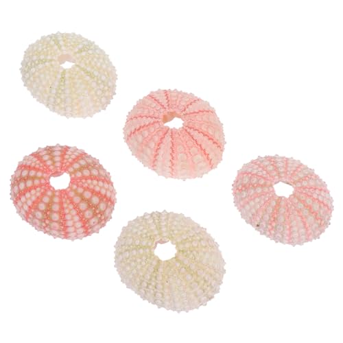 KAILIKETIY 5 Stück Teiliges Natürliche Seeigel Schalen Aquarium deko Lebensechte Urchin Muscheln als Versteck für Fische DIY Meerwasser Landschaft Zubehör für Heimdekoration von KAILIKETIY