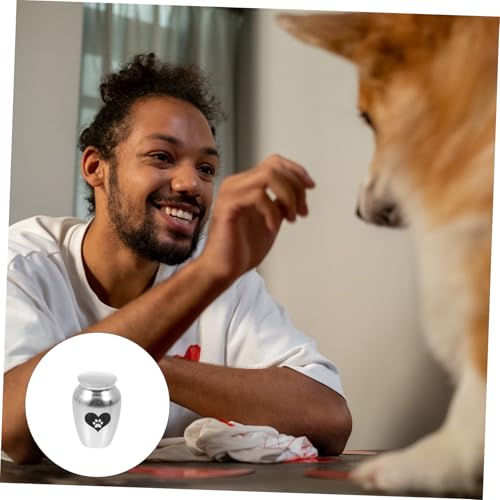 KAILIKETIY Edelstahl Tierurne für Haustierasche Kleine Langlebige Aschenbox Gedenkurne für Hunde Katzen Wohnraum Schlafzimmer Büro Geeignet von KAILIKETIY