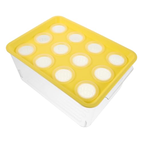 KAILIKETIY Mini Aquarium Goldfisch ökosystem mit Pflanzdeckel Platzsparendes Hydroponik gartensystem für Zuhause Stabiler mit Integriertem Wasserpflanzenbereich Sicher und Dekorativ für von KAILIKETIY