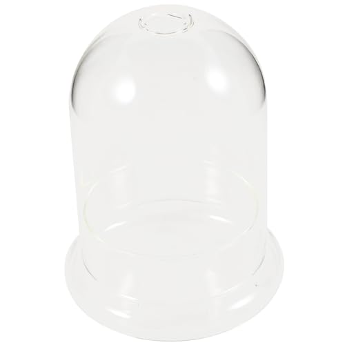 KAILIKETIY Pflanzenterrarium aus Ökologische Mikrolandschaftsflasche mit Glockenglaskuppel für Kreative Dekoration im Büro und Zuhause für Pflanzen und Blumen Langlebig KAILIKETIY Pflanzenterrarium aus Ökologische Mikrolandschaftsflasche mit Glockenglaskuppel für Kreative Dekoration im Büro und Zuhause für Pflanzen und Blumen Langlebig von KAILIKETIY
