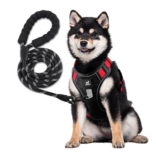 KAIYIKAPET Hundegeschirr No Pull mit 1.5m Leine, Brustgeschirr für Kleine Mittelgroße Grosse Hunde, Weich Atmungsaktiv Einstellbar Reflektierend Hundegeschirr Anti Zug KAIYIKAPET Hundegeschirr No Pull mit 1.5m Leine, Brustgeschirr für Kleine Mittelgroße Grosse Hunde, Weich Atmungsaktiv Einstellbar Reflektierend Hundegeschirr Anti Zug von KAIYIKAPET