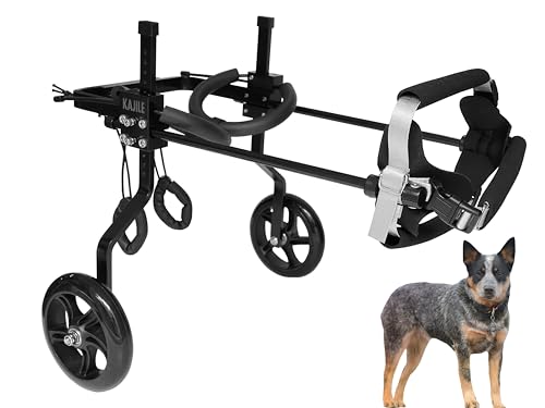 KAJILE Einstellbare Hunde-Rollstuhl,Haustier Cart,Handicap Hund Schwache Hinterbeine Rehabilitation Training,Fit Haustier Höhe 40-50cm,Haustier Breite 19-25cm,Haustier Länge 27-35cm,L-2 von KAJILE