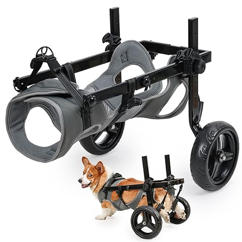 KAJILE Faltbar und Einstellbar Zweirädriger Rollstuhl für Haustiere,Hunderollstuhl für Große und Mittel Hunde,Rehabilitation der Hintergliedmaßen von Haustieren,Grau,L KAJILE Faltbar und Einstellbar Zweirädriger Rollstuhl für Haustiere,Hunderollstuhl für Große und Mittel Hunde,Rehabilitation der Hintergliedmaßen von Haustieren,Grau,L von KAJILE