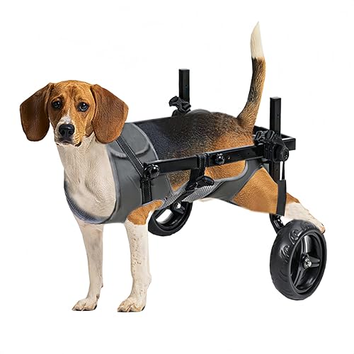 KAJILE Faltbar und Einstellbar Zweirädriger Rollstuhl für Haustiere,Hunderollstuhl für Große und Mittel Hunde,Rehabilitation der Hintergliedmaßen von Haustieren,Grau,M KAJILE Faltbar und Einstellbar Zweirädriger Rollstuhl für Haustiere,Hunderollstuhl für Große und Mittel Hunde,Rehabilitation der Hintergliedmaßen von Haustieren,Grau,M von KAJILE