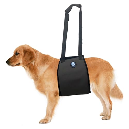KAJILE Große Hunde Bein Unterstützung Gürtel, Walking Assistance Geschirr für Verletzungen,Alt,Arthrose,Rehabilitation,Grau,L KAJILE Große Hunde Bein Unterstützung Gürtel, Walking Assistance Geschirr für Verletzungen,Alt,Arthrose,Rehabilitation,Grau,L von KAJILE