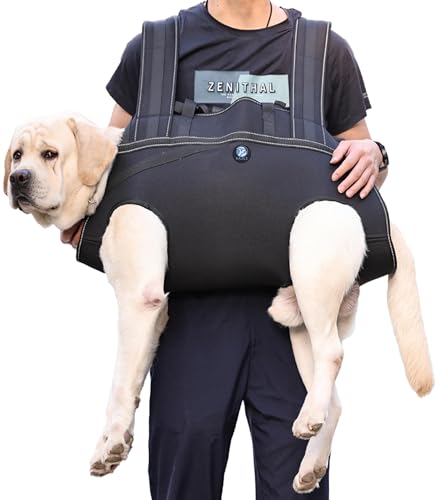 KAJILE Großer Hunde-Rucksack,Ganzkörper-Hebegurt mit Griff,Reflektierend Brustgeschirr Hund,Hundegeschirr Gepolstert,Alte Gelenkverletzungen,Arthritis,Hinterbeinunterstützung,Schwarz,M KAJILE Großer Hunde-Rucksack,Ganzkörper-Hebegurt mit Griff,Reflektierend Brustgeschirr Hund,Hundegeschirr Gepolstert,Alte Gelenkverletzungen,Arthritis,Hinterbeinunterstützung,Schwarz,M von KAJILE