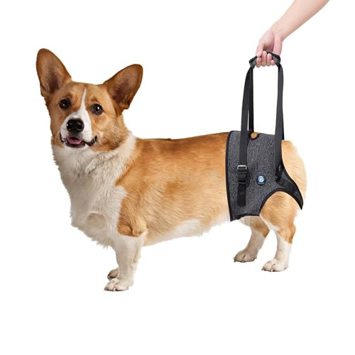 KAJILE Hundegeschirr,Hundestützgeschirr für die Hinterbeine,Hundestützschlaufe für Verletzte Behinderte Kleine,Mittlere und Große Hunde,Dunkelgrau,L KAJILE Hundegeschirr,Hundestützgeschirr für die Hinterbeine,Hundestützschlaufe für Verletzte Behinderte Kleine,Mittlere und Große Hunde,Dunkelgrau,L von KAJILE
