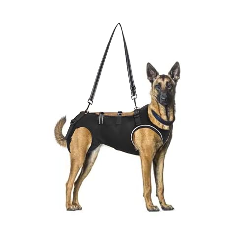 KAJILE Hundegeschirr,Tragegurt zur Unterstützung und Rehabilitation von Haustieren,Verstellbare Gurte, Hundegeschirr für ältere Hunde, Gelenkverletzungen, Arthritis, Treppensteigen,Schwarz,L von KAJILE