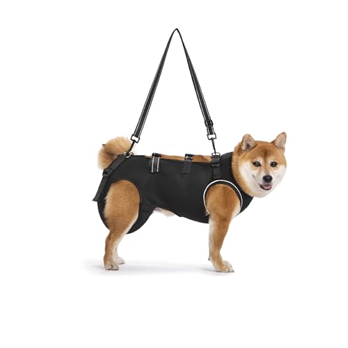 KAJILE Hundegeschirr,Tragegurt zur Unterstützung und Rehabilitation von Haustieren,Verstellbare Gurte, Hundegeschirr für ältere Hunde, Gelenkverletzungen, Arthritis, Treppensteigen,Schwarz,M von KAJILE