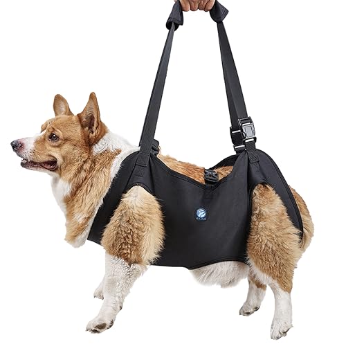 KAJILE Hundelift Geschirr,Hund Trageschlaufe,Haustier Unterstützung für Rehabilitation Sling Lift Straps für Alt,Behindert,Gelenkverletzungen,Arthritis,Schwarz,L KAJILE Hundelift Geschirr,Hund Trageschlaufe,Haustier Unterstützung für Rehabilitation Sling Lift Straps für Alt,Behindert,Gelenkverletzungen,Arthritis,Schwarz,L von KAJILE