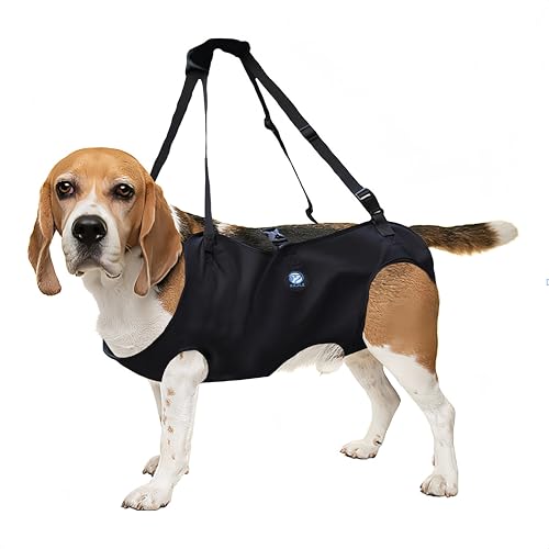 KAJILE Hundelift Geschirr,Hund Trageschlaufe,Haustier Unterstützung für Rehabilitation Sling Lift Straps für Alt,Behindert,Gelenkverletzungen,Arthritis,Schwarz,M KAJILE Hundelift Geschirr,Hund Trageschlaufe,Haustier Unterstützung für Rehabilitation Sling Lift Straps für Alt,Behindert,Gelenkverletzungen,Arthritis,Schwarz,M von KAJILE