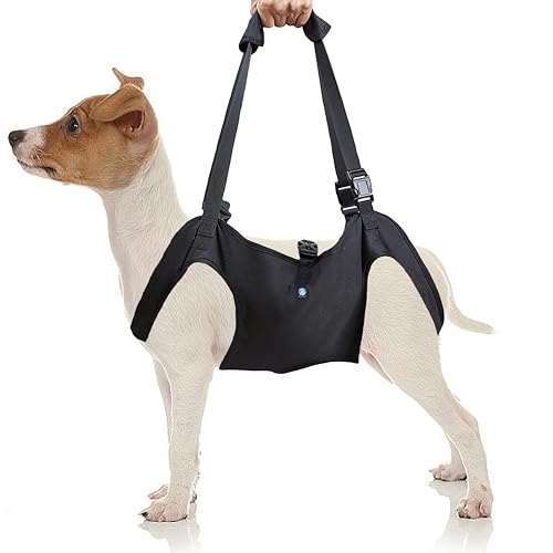 KAJILE Hundelift Geschirr,Hund Trageschlaufe,Haustier Unterstützung für Rehabilitation Sling Lift Straps für Alt,Behindert,Gelenkverletzungen,Arthritis,Schwarz,S KAJILE Hundelift Geschirr,Hund Trageschlaufe,Haustier Unterstützung für Rehabilitation Sling Lift Straps für Alt,Behindert,Gelenkverletzungen,Arthritis,Schwarz,S von KAJILE