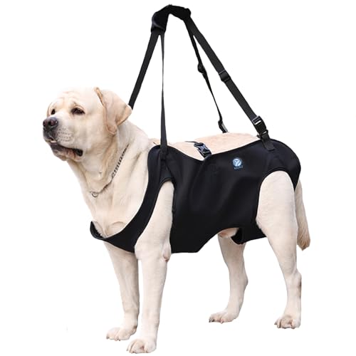 KAJILE Hundelift Geschirr,Hund Trageschlaufe,Haustier Unterstützung für Rehabilitation Sling Lift Straps für Alt,Behindert,Gelenkverletzungen,Arthritis,Schwarz,XL KAJILE Hundelift Geschirr,Hund Trageschlaufe,Haustier Unterstützung für Rehabilitation Sling Lift Straps für Alt,Behindert,Gelenkverletzungen,Arthritis,Schwarz,XL von KAJILE