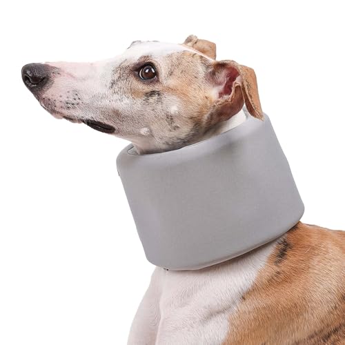 KAJILE Komfortables Haustier-Wiederherstellungshalsband für den Wundschutz Chirurgisches Wiederherstellungshalsband für Katzen Hund nach Operationen, verstellbares Halsband,Grau,M von KAJILE