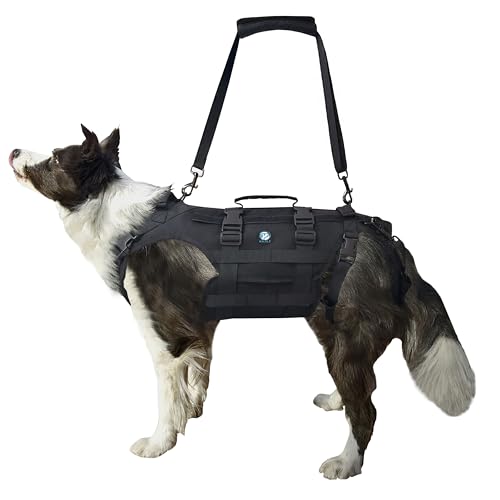 KAJILE Sicherheitsgeschirr für Hunde,Unterstützung und Erholung,Anzug für Behinderte,Kranke Oder Alte Hunde,Rehabilitation Oder Spaziergang,Abnehmbar Einstellbar,Schwarz,XL KAJILE Sicherheitsgeschirr für Hunde,Unterstützung und Erholung,Anzug für Behinderte,Kranke Oder Alte Hunde,Rehabilitation Oder Spaziergang,Abnehmbar Einstellbar,Schwarz,XL von KAJILE