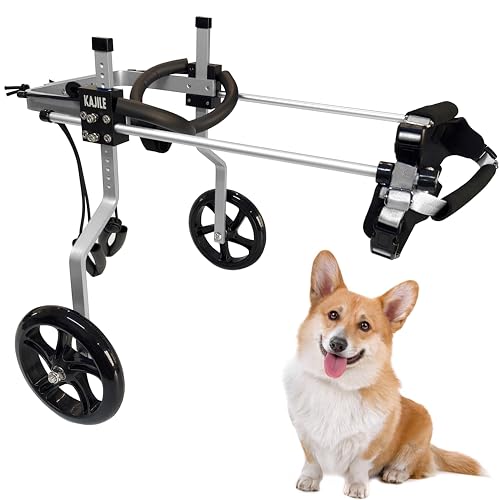 KAJILE Verstellbarer 2-Rad-Hunderollstuhl, XS-1 Größe für die Rehabilitation der Hinterbeine von behinderten Hunden,Geeignete Höhe 19.5-26 cm, Breite 14-18 cm, Länge 15–22 KAJILE Verstellbarer 2-Rad-Hunderollstuhl, XS-1 Größe für die Rehabilitation der Hinterbeine von behinderten Hunden,Geeignete Höhe 19.5-26 cm, Breite 14-18 cm, Länge 15–22 von KAJILE