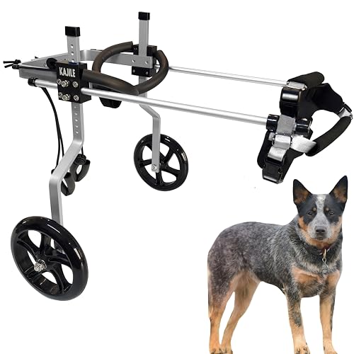 KAJILE Verstellbarer 2-Rad-Hunderollstuhl, L-1 Größe für behinderte Hund Hinterbeine Rehabilitation, geeignete Höhe 37-47cm, Breite 19-25cm, Länge 27-35cm von KAJILE