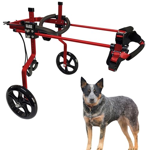 KAJILE Verstellbarer 2-Rad-Hunderollstuhl, L-1 Größe für behinderte Hund Hinterbeine Rehabilitation, geeignete Höhe 37-47cm, Breite 19-25cm, Länge 27-35cm von KAJILE