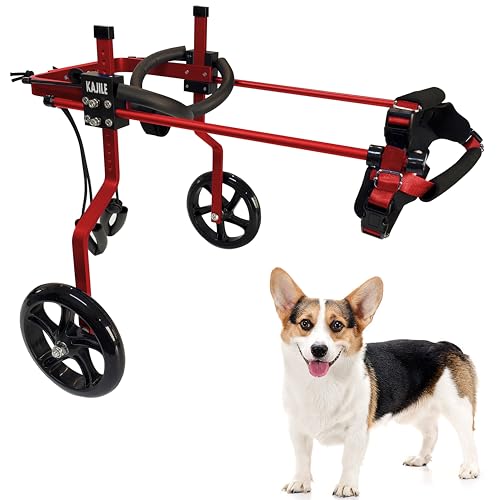 KAJILE Verstellbarer 2-Rad-Hunderollstuhl, M-2 Größe für behinderte Hunde Hinterbeine Rehabilitation, geeignete Höhe 30-38cm, Breite 17-22cm, Länge 20-28cm von KAJILE