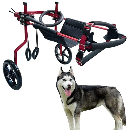 KAJILE Verstellbarer 2-Rad-Hunderollstuhl, XL-3 Größe für behinderte Hund Hinterbeine Rehabilitation, geeignete Höhe 55-70cm, Breite 21-28cm, Länge 30-40cm von KAJILE