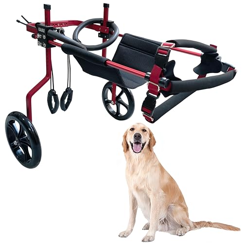 KAJILE Verstellbarer 2-Rad-Hunderollstuhl, XXL-1 Größe für behinderte Hunde Hinterbeine Rehabilitation, geeignete Höhe 50-65cm, Breite 24-32cm, Länge 35-45cm von KAJILE