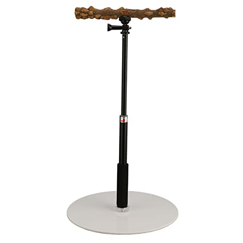Papageienspielständer, verstellbare Papageienstange, abnehmbar, tragbar für den Außenbereich Papageienspielständer, verstellbare Papageienstange, abnehmbar, tragbar für den Außenbereich von KAKAKE