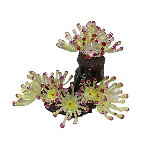 KAKASEA Aquarium-Dekoration, lebensechte Figur, Aquarien, Dekoration, Süßwasser, Salzwasser, Landschaftsbau KAKASEA Aquarium-Dekoration, lebensechte Figur, Aquarien, Dekoration, Süßwasser, Salzwasser, Landschaftsbau von KAKASEA