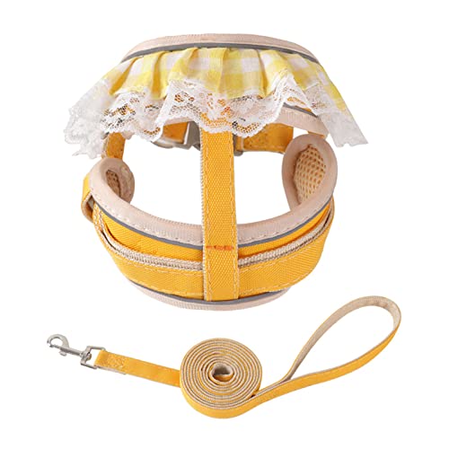 KAKASEA Spitzenleine und Geschirr für Katzen/Welpen, Outdoor-Spaziergänge, Kätzchen, Spaziergänge für den Außenbereich KAKASEA Spitzenleine und Geschirr für Katzen/Welpen, Outdoor-Spaziergänge, Kätzchen, Spaziergänge für den Außenbereich von KAKASEA