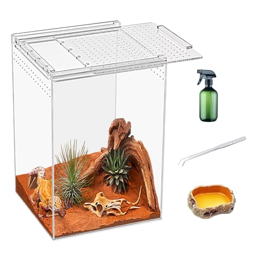 KAKOOTI Reptile Terrarium,20 * 20 * 30cm Reptilienzuchtbox, magnetisches Acrylgehäuse, für Schlange, Tarantula, Einsiedlerkrabbe, springende Spinne, Iguane, Leopard Gecko, Bartdrache, Insekt, Mantis KAKOOTI Reptile Terrarium,20 * 20 * 30cm Reptilienzuchtbox, magnetisches Acrylgehäuse, für Schlange, Tarantula, Einsiedlerkrabbe, springende Spinne, Iguane, Leopard Gecko, Bartdrache, Insekt, Mantis von KAKOOTI