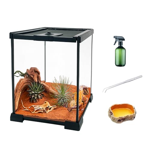 KAKOOTI Reptile Terrarium,20X20X30 von KAKOOTI