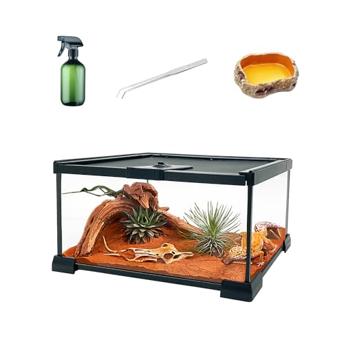 KAKOOTI Reptile Terrarium,30X20X15 von KAKOOTI