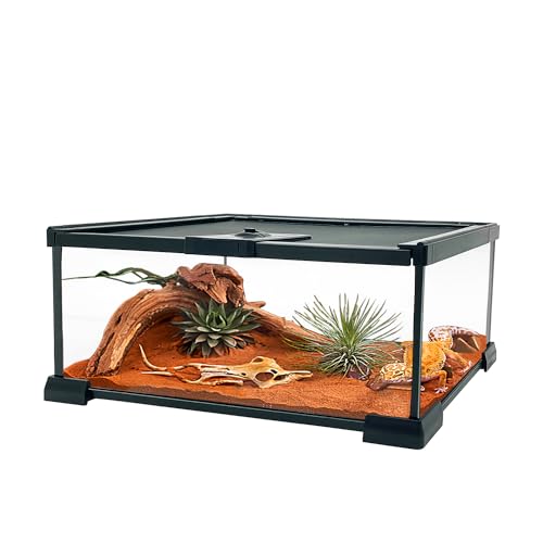 【Keine Montage】 KAKOOTI Vollglas 6 Gallonen Low Reptile Tank mit magnetischer Schiebetür & Reptilienterrarium 50 X 30 X 15 cm für Bartagamen, Eidechsen, Spinnen, Hamster, Einsiedlerkrebse von KAKOOTI