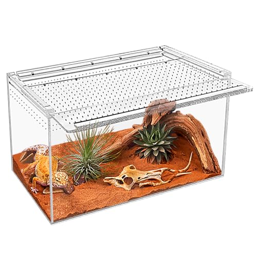 KAKOOTI Reptilien-Terrarium, für Vogelspinne, Einsiedlerkrebse, springende Spinne, Leguan, Leopardengecko von KAKOOTI