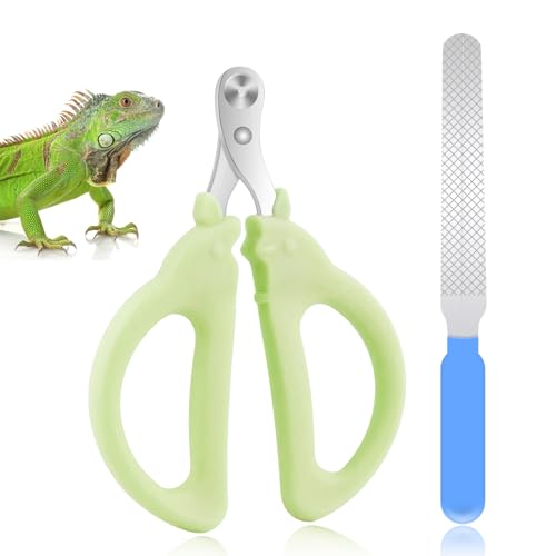 KALAMANDA Nagelknipser und Feilen-Set für Hunde, Katzenkrallen-Nagelschneider, Einzelloch, Welpen, Zehennagelknipser-Set für Kaninchen, Vögel, Kleintiere (grün) von KALAMANDA