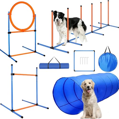 KALDJKS Agility Set Hunde, Teiliges Set Agility-Ausrüstung für Hunde, Slalom, Agility Hürde, Sprungring & Hundetunnel, Perfekt für den Park, Interessant Spiele, Hundetraining Spiele KALDJKS Agility Set Hunde, Teiliges Set Agility-Ausrüstung für Hunde, Slalom, Agility Hürde, Sprungring & Hundetunnel, Perfekt für den Park, Interessant Spiele, Hundetraining Spiele von KALDJKS
