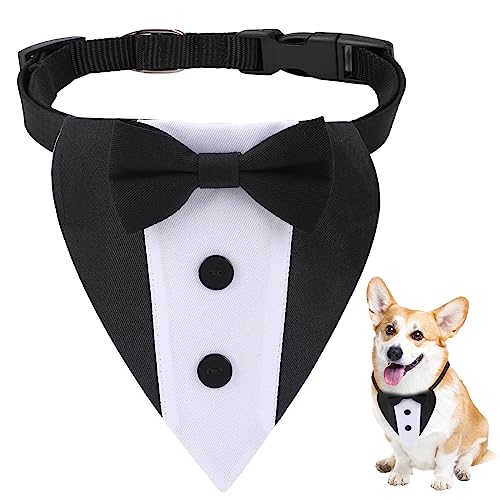 1pc Formale Haustier Smoking Fliege, verstellbare Haustier Smoking Bandana Halskette, Hunde-Hochzeit Smoking mit Fliege, Hundehalstuch Halskette, geeignet für kleine, mittlere und große Hunde. von KALIONE