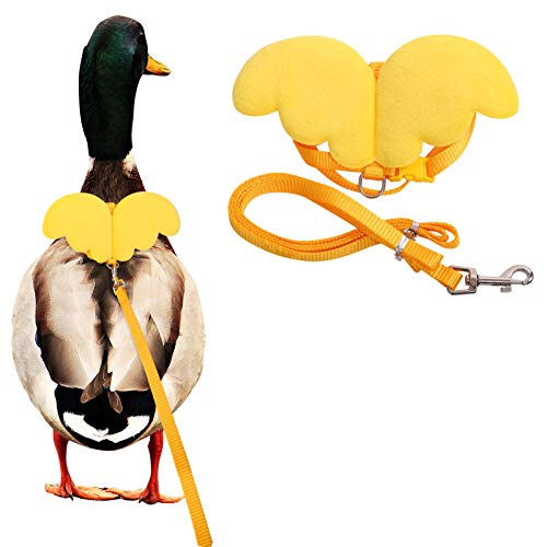 KAMA BRIDAL Duck Walking Harness and Leash Chicken Duck Outdoor Training Rope Adjustable Rope for Pet Poultry Hen Cock (S, Yellow) von KAMA BRIDAL