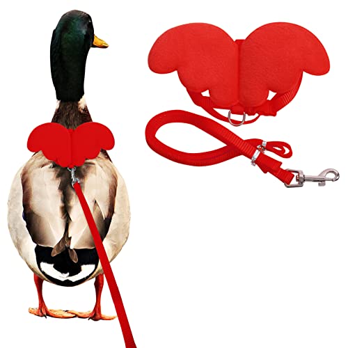 KAMA BRIDAL Enten-Geschirr und Leine, Huhn-Ente, Outdoor-Trainingsseil, verstellbares Seil für Haustiere, Geflügel, Henne (M, Rot) von KAMA BRIDAL