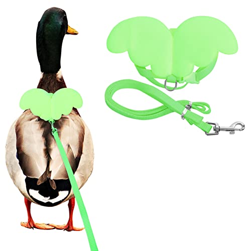 KAMA BRIDAL Enten-Geschirr und Leine, Huhn-Ente, Outdoor-Trainingsseil, verstellbares Seil für Haustiere, Geflügel, Henne (M, grün) von KAMA BRIDAL