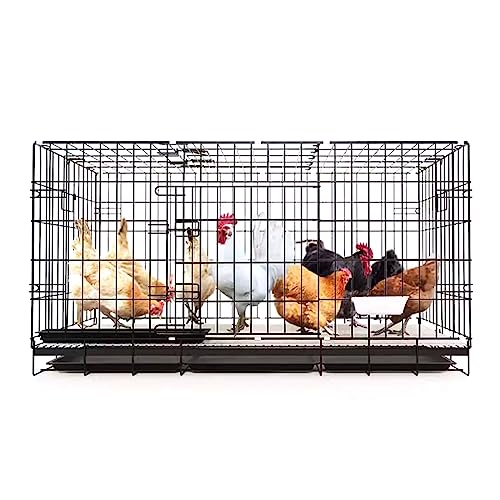 Großer Hühnerstall aus Metall Begehbarer Geflügelkäfig Hühnerställe für 8 Hühner, innen und außen von KAMPCO
