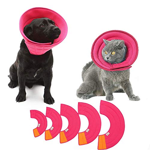 Hund Katze Kragen Schutz Schutzkragen für Haustiere Recovery Collar Cone für Hautausschläge Recovery Collar Cone für Wunden red,2# von KANKOO