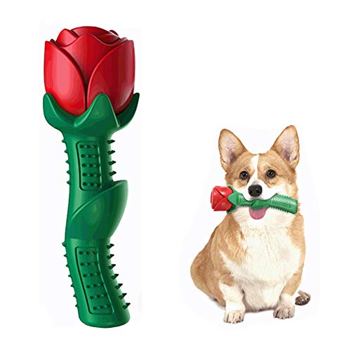 KANKOO Hunde Spielzeug für kleine Hunde Hunde Spielzeug für große Hunde Hund kaut Lange anhaltende natürliche Hund kauen Welpen kauen Spielzeug Hund kaut von KANKOO