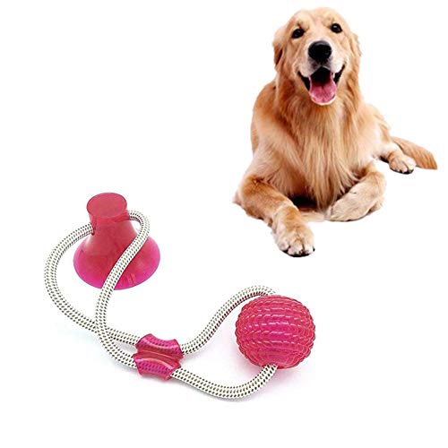 KANKOO Hundeball Zahnpflege Hundespielzeug Mit Saugnapf Hundeball Für mittelgroße Hunde Haustier Interaktiver Ball Hund Molar Toy Sucker red von KANKOO