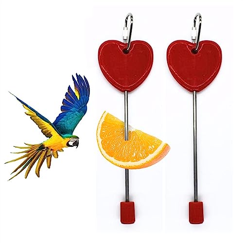KANLVU Außenbereich Vogelfutterspender Papagei Hängend Obstgabel Stil, Rostfreier Stahl Vogelspielzeug Perfekt Für Hinterhofvögel(Red Love) von KANLVU
